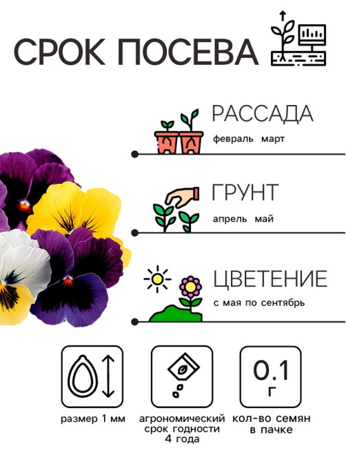 Семена цветов Виола «Шведские гиганты», 0.1 г, «Рецепты дедушки Никиты»