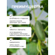 Проволока для подвязки растений, 50 м, металл, зелёная, Greengo