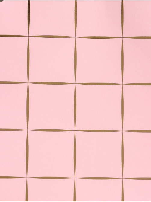 Сумка переноска для цветов, влагостойкая, розовая, с тиснением, 22×10.5×13.5±5% см