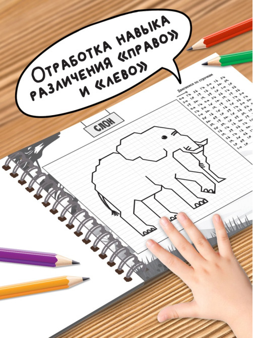 Книга детская «Графические диктанты. Животные», 36 стр.