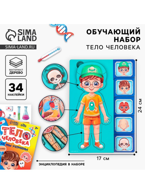 Обучающий набор Лесная мастерская «Тело человека», рамка-вкладка и книга с наклейками