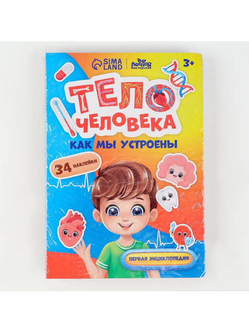 Обучающий набор Лесная мастерская «Тело человека», рамка-вкладка и книга с наклейками