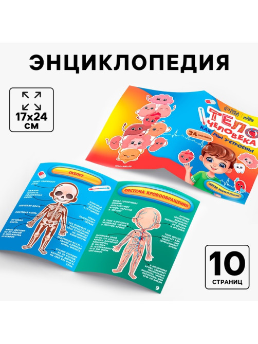 Обучающий набор Лесная мастерская «Тело человека», рамка-вкладка и книга с наклейками