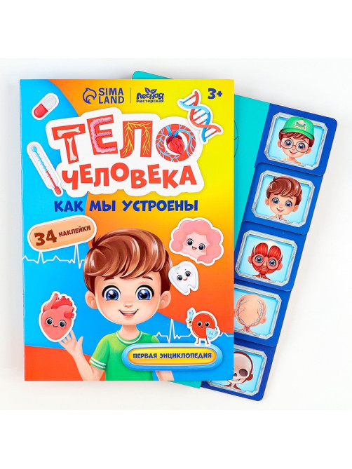 Обучающий набор Лесная мастерская «Тело человека», рамка-вкладка и книга с наклейками