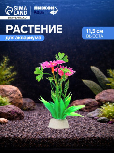 Растение для аквариума и террариума, 11.5 см