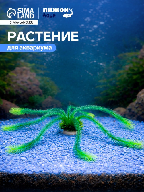 Растение для аквариума, до 35 см, зелёное