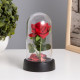 Фигурка световая колба RISALUX «Красная роза», LED-ночник, 3×AG10, 8.5×8.5×15.5 см