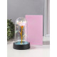 Фигурка световая колба RISALUX «Цветок», LED-ночник, 3×AG10, белый, 8.5×8.5×15.5 см
