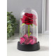 Фигурка световая колба RISALUX «Красная роза», LED-ночник, 3×AG10, 8.5×8.5×15.5 см