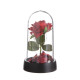 Фигурка световая колба RISALUX «Красная роза», LED-ночник, 3×AG10, 8.5×8.5×15.5 см