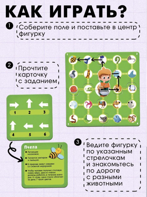 Развивающая игра «Пройди по стрелкам. Изучаем животных», 24 карточки, 3+