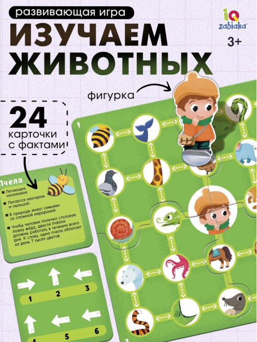 Развивающая игра «Пройди по стрелкам. Изучаем животных», 24 карточки, 3+