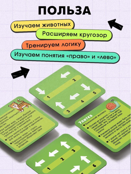 Развивающая игра «Пройди по стрелкам. Изучаем животных», 24 карточки, 3+