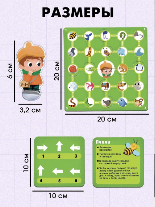 Развивающая игра «Пройди по стрелкам. Изучаем животных», 24 карточки, 3+