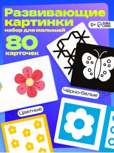 Развивающий набор «Мои первые картинки», 80 карточек, 0+