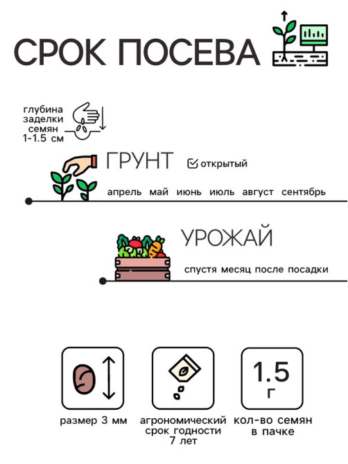 Семена Редис 