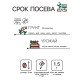 Семена Редис 