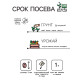 Семена Редис 