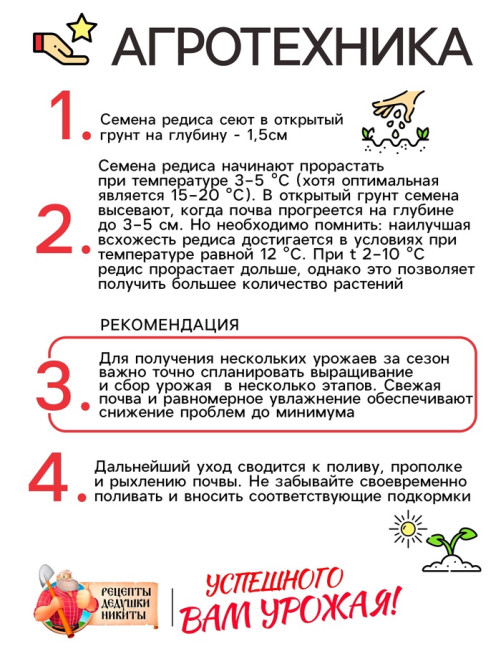 Семена Редис 