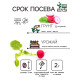 Семена Редис 