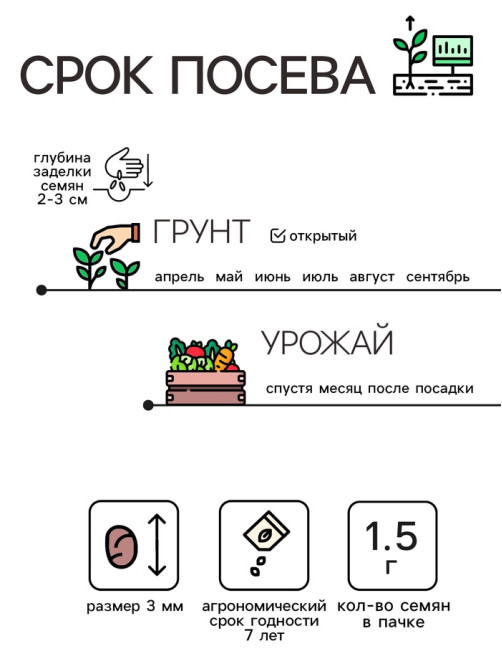 Семена Редис 