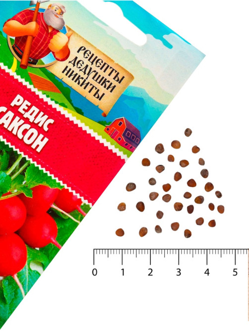 Семена Редис 
