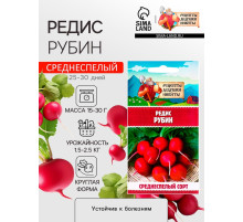 Семена Редис 