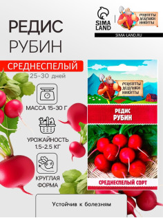 Семена Редис 
