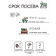 Семена Редис 