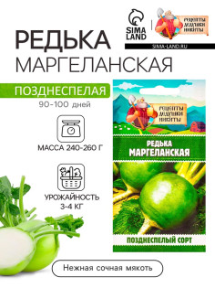 Семена Редька 