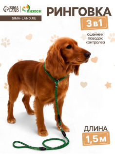 Ринговка для собак, 150×0.6 см, с вертлюгом, чёрная, зелёная