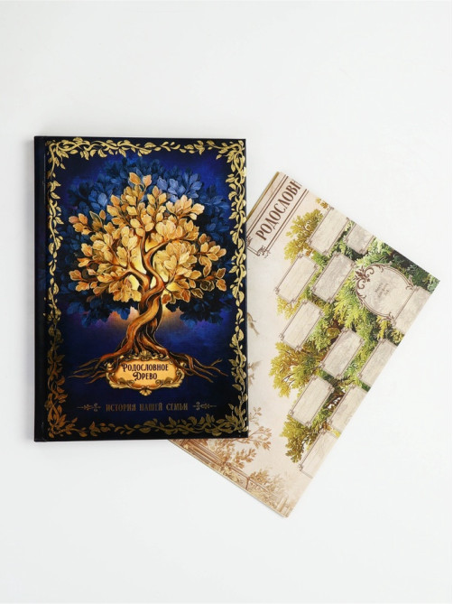 Родословная книга «История нашей семьи», 56 листов, 112 страниц, 16.5×24 см