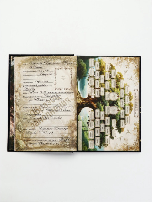 Родословная книга «История нашей семьи», 56 листов, 112 страниц, 16.5×24 см