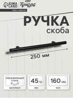 Ручка рейлинг ТУНДРА, облегчённая, d=12 мм, м/о 160/250 мм, внеш. ножка, цвет черный