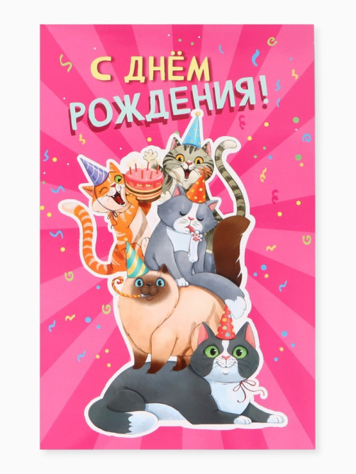 Открытка поздравительная с карманом для денег «С Днём рождения», коты, 19×29 см