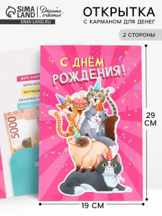 Открытка поздравительная с карманом для денег «С Днём рождения», коты, 19×29 см