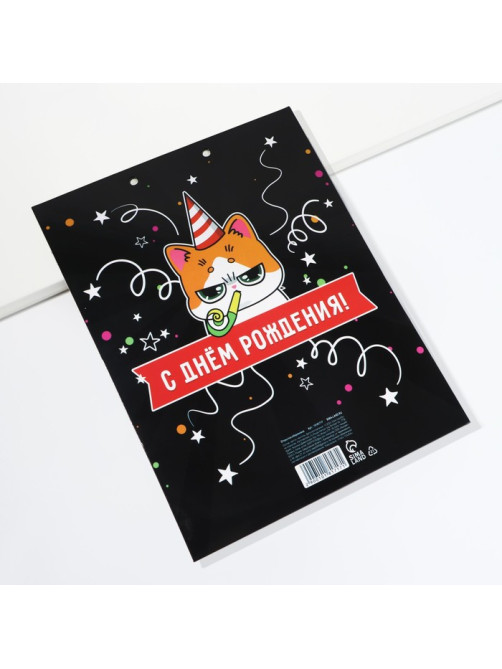 Конверт для денег, открытка на День Рождения, 6 листов, 16.5×21.5 см «Поздравительная»