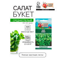 Семена Салат 