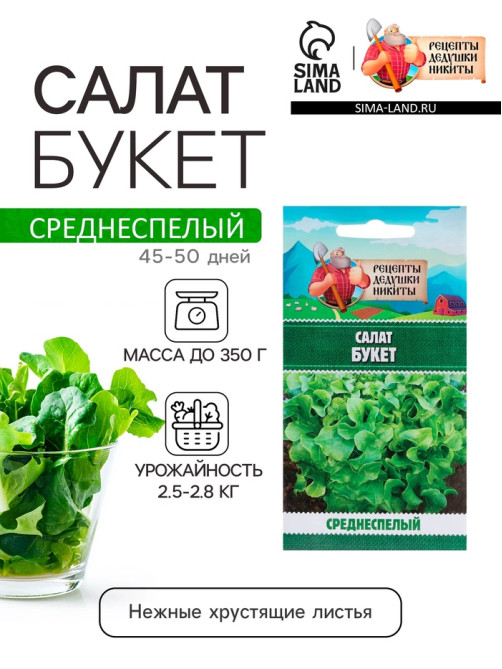 Семена Салат 