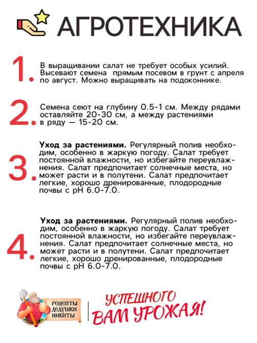 Семена Салат «Кучерявец Одесский», 0.5 г, «Рецепты дедушки Никиты»