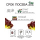 Семена Салат кочанный 