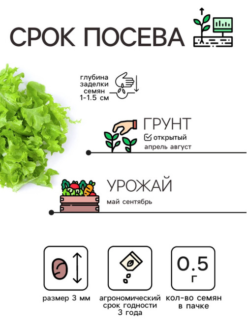 Семена Салат листовой «Веселая грядка», смесь, 0.5 г, «Рецепты дедушки Никиты»