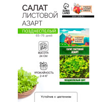 Семена Салат листовой 
