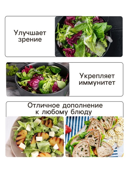 Семена Салат листовой 