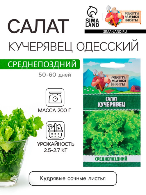 Семена Салат «Кучерявец Одесский», 0.5 г, «Рецепты дедушки Никиты»