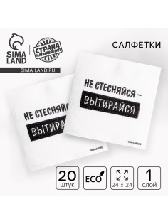 Салфетки бумажные однослойные «Не стесняйся-вытирайся», 24×24 см, набор 20 шт.