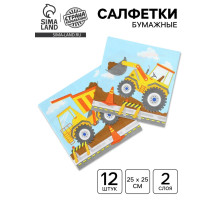 Салфетки бумажные двухслойные «Техника», 25×25, 12 шт.