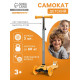 Самокат GRAFFITI Baby, колёса световые PU 120/70 мм, ABEC 7, оранжевый
