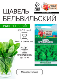 Семена Щавель 