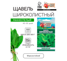 Семена Щавель 